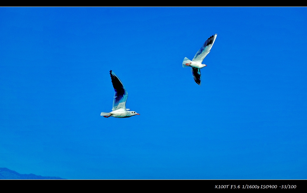 dscf2189.jpg