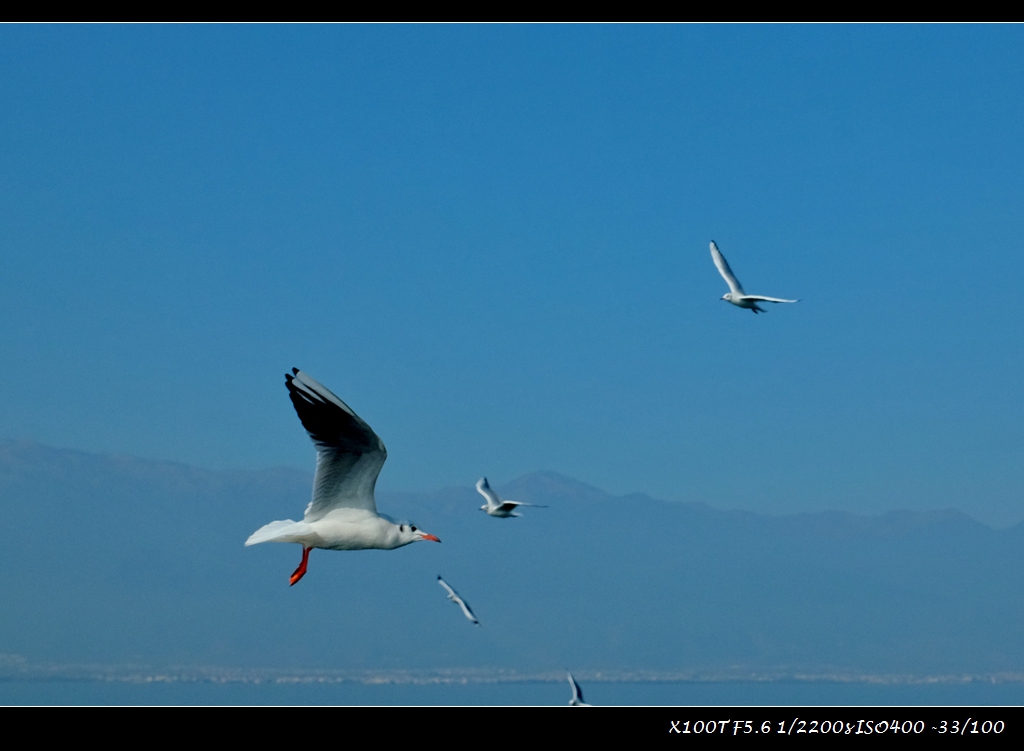 dscf2190.jpg
