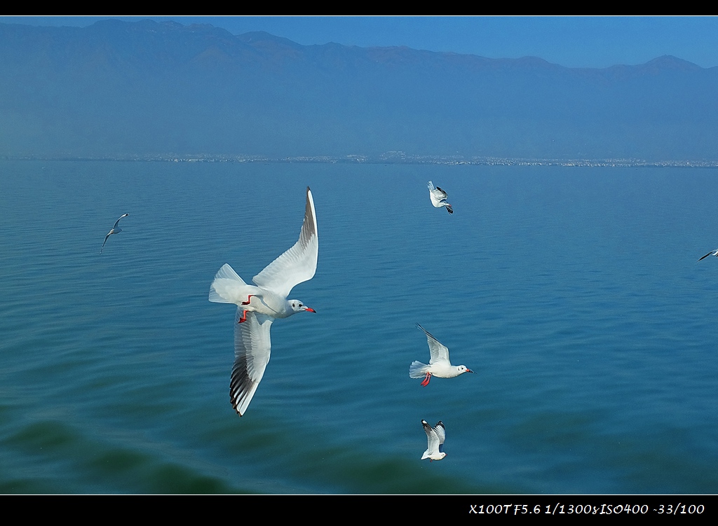 dscf2191-a.jpg