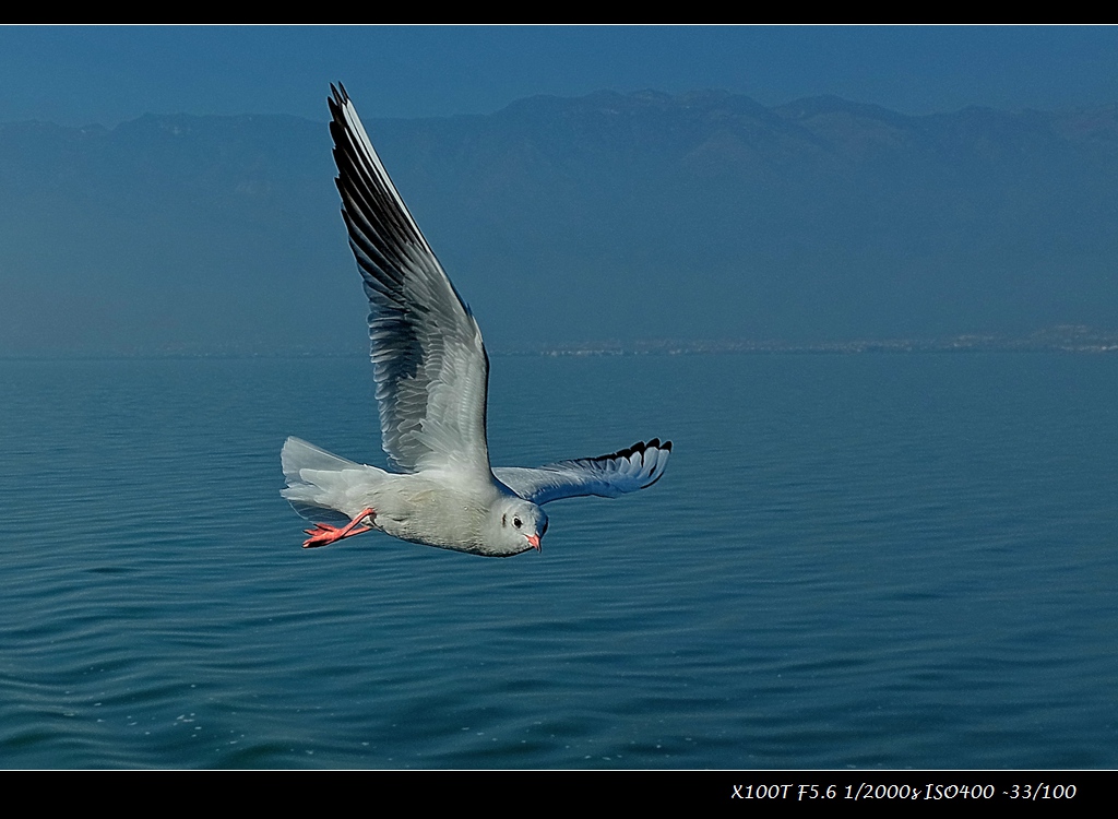 dscf2206-a.jpg