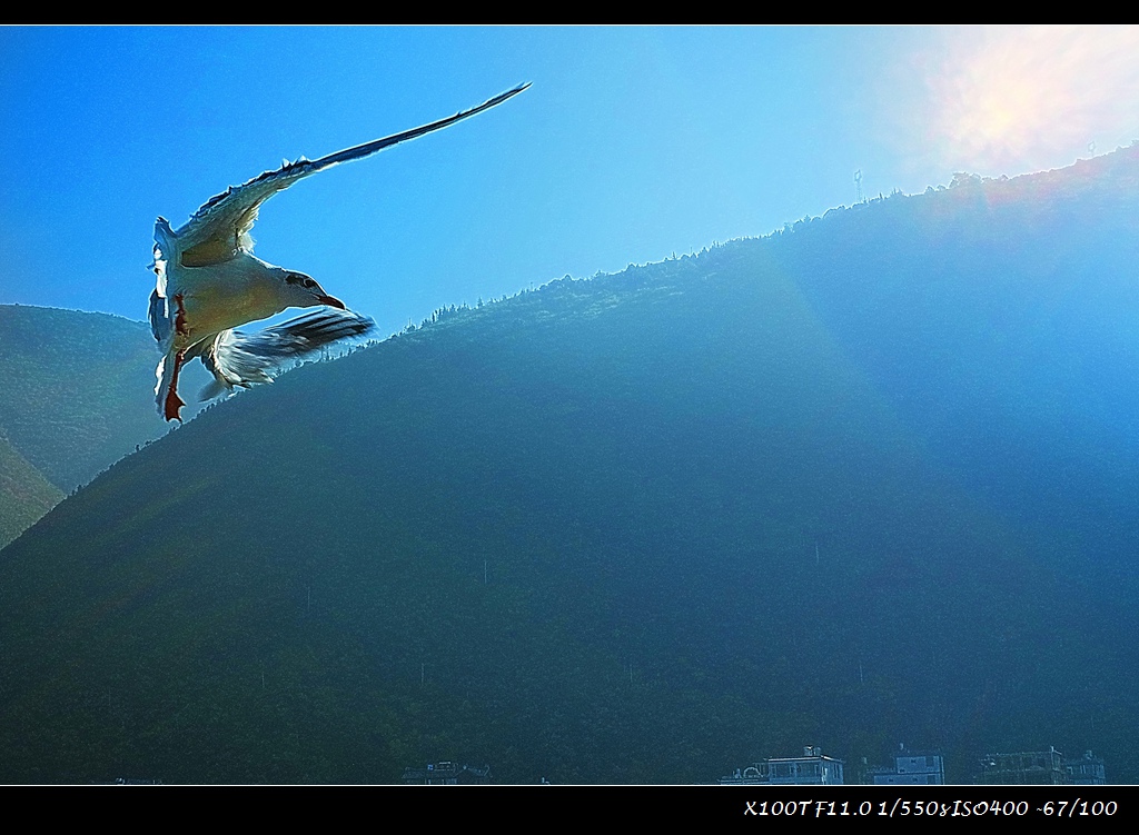 dscf2243-a.jpg