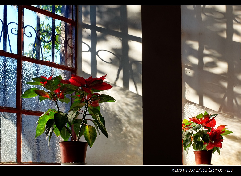 dscf2393.jpg