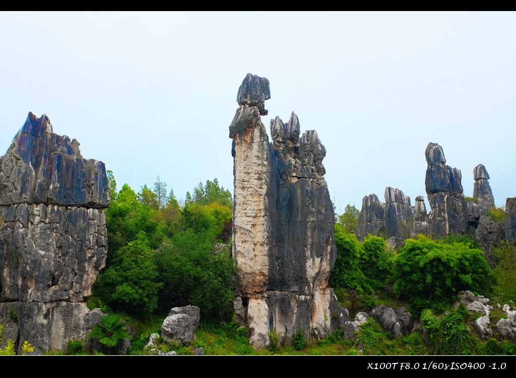 dscf2433.jpg