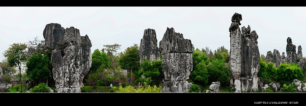 dscf2441.jpg