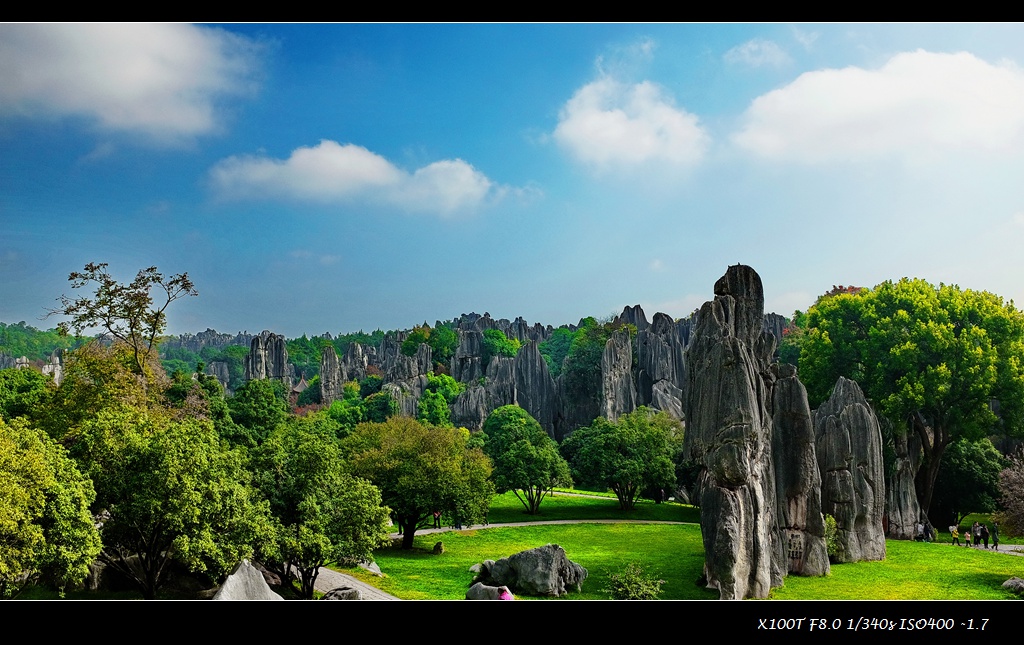 dscf2515.jpg