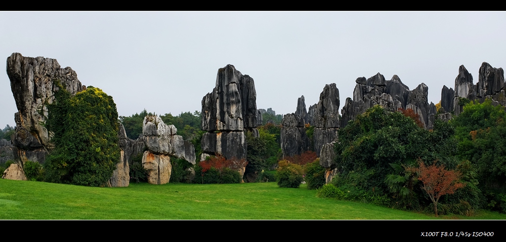 dscf2402.jpg