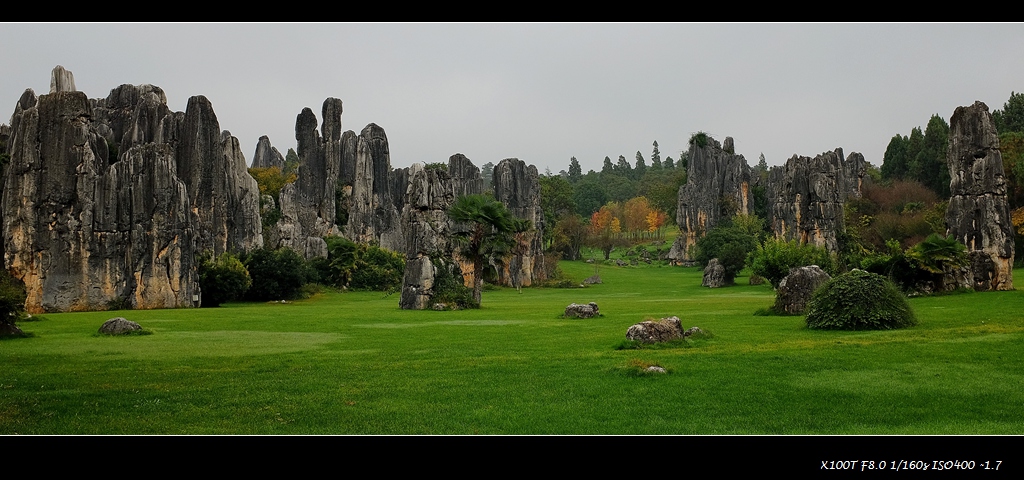 dscf2420.jpg