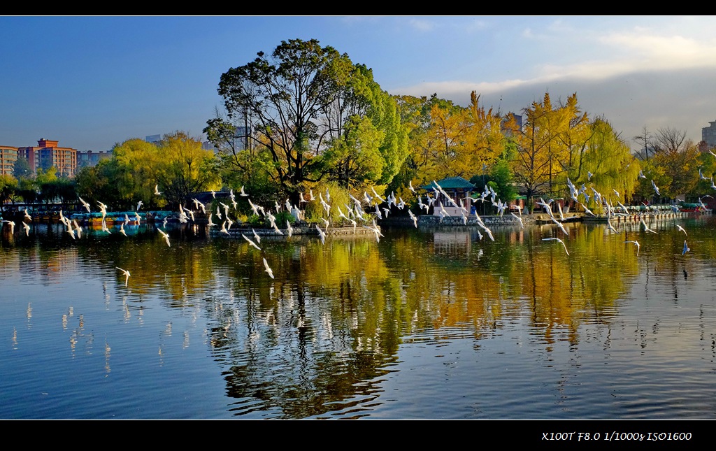 dscf2590.jpg