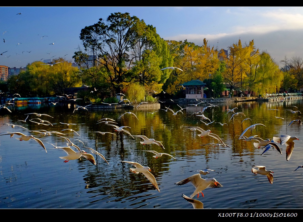dscf2596.jpg