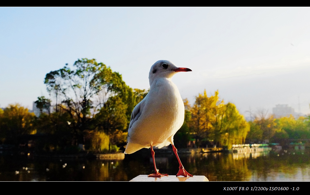 dscf2542-a.jpg