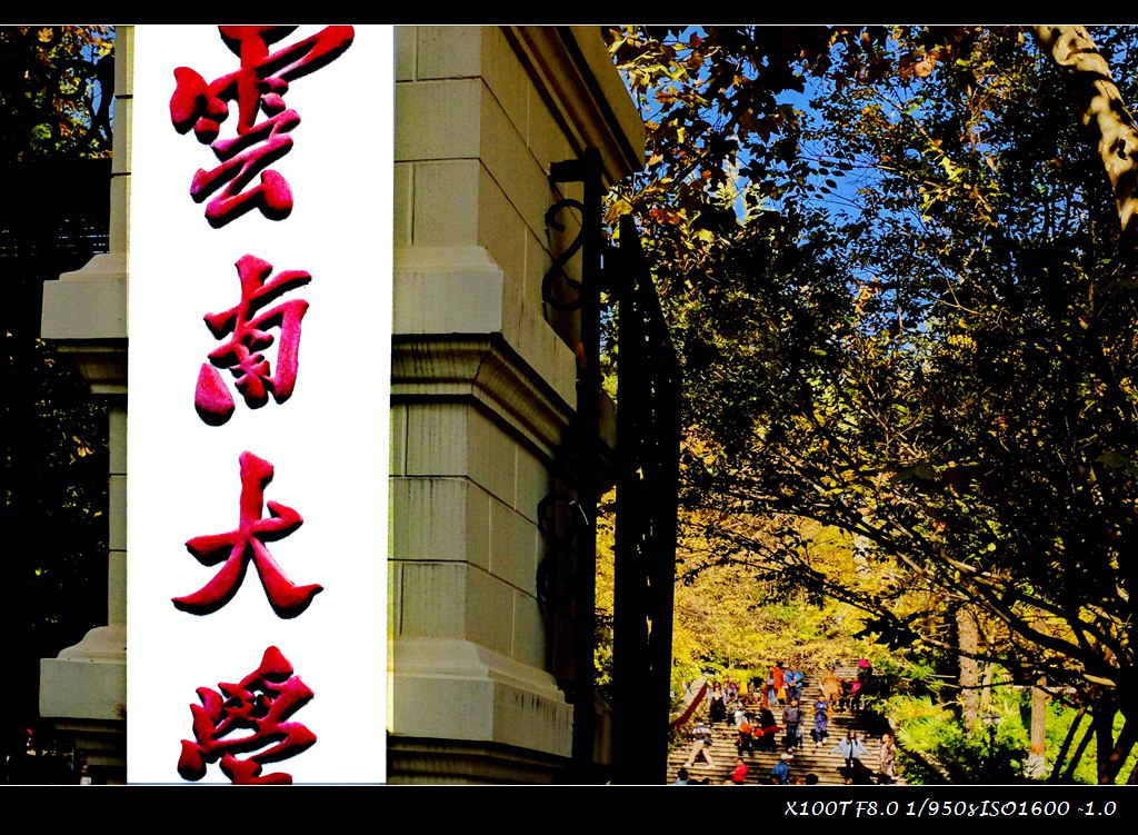 dscf2725.jpg