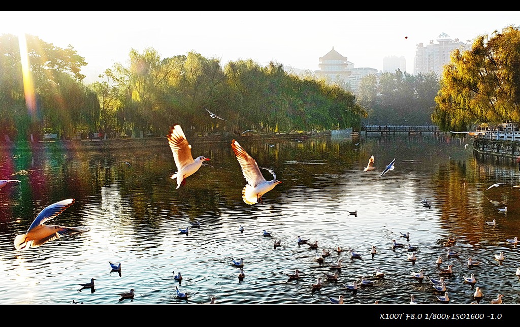 dscf2534.jpg