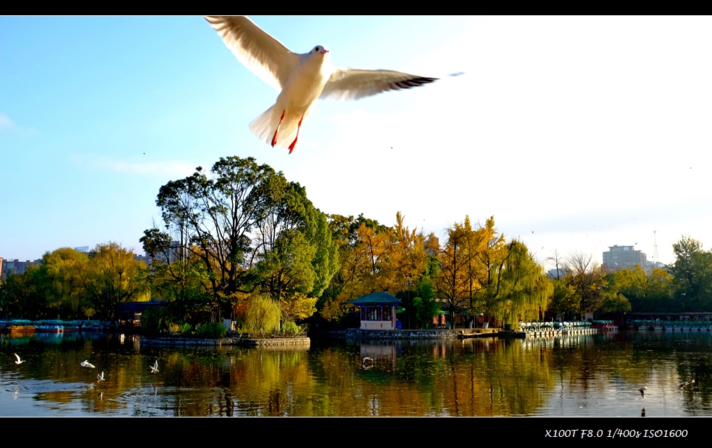 dscf2630.jpg