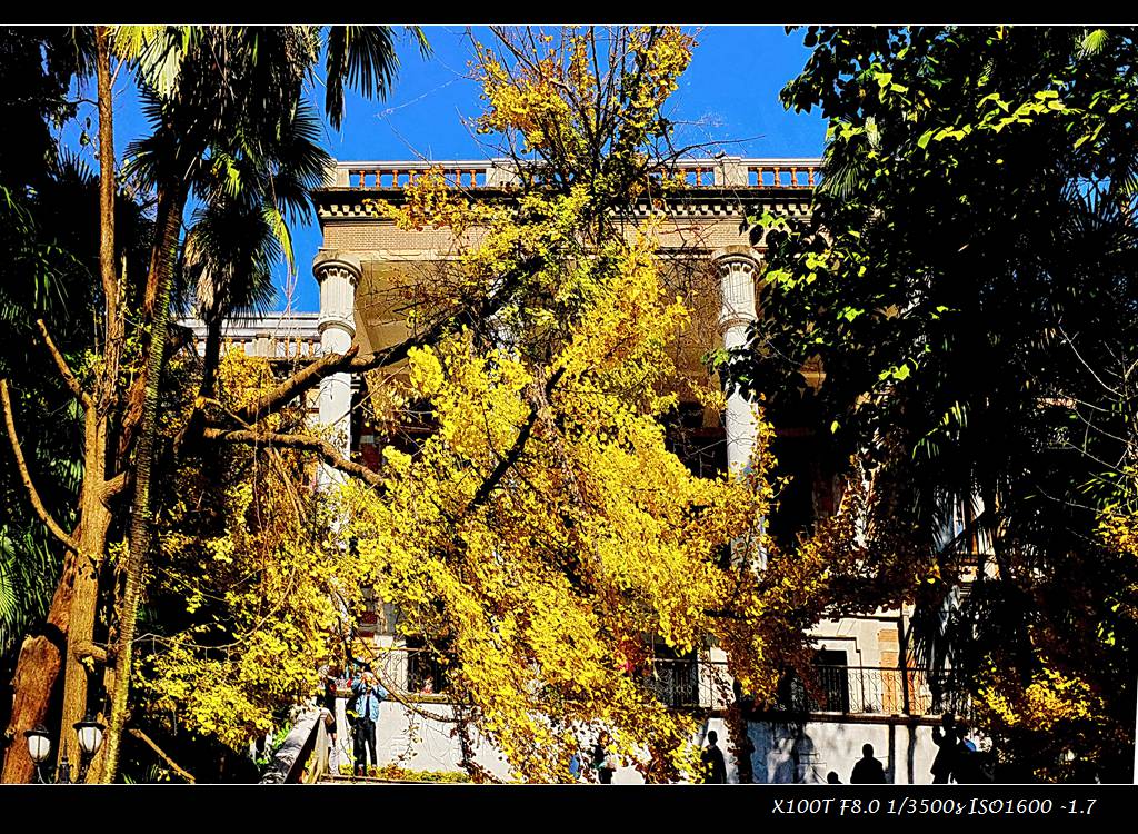 dscf2730.jpg