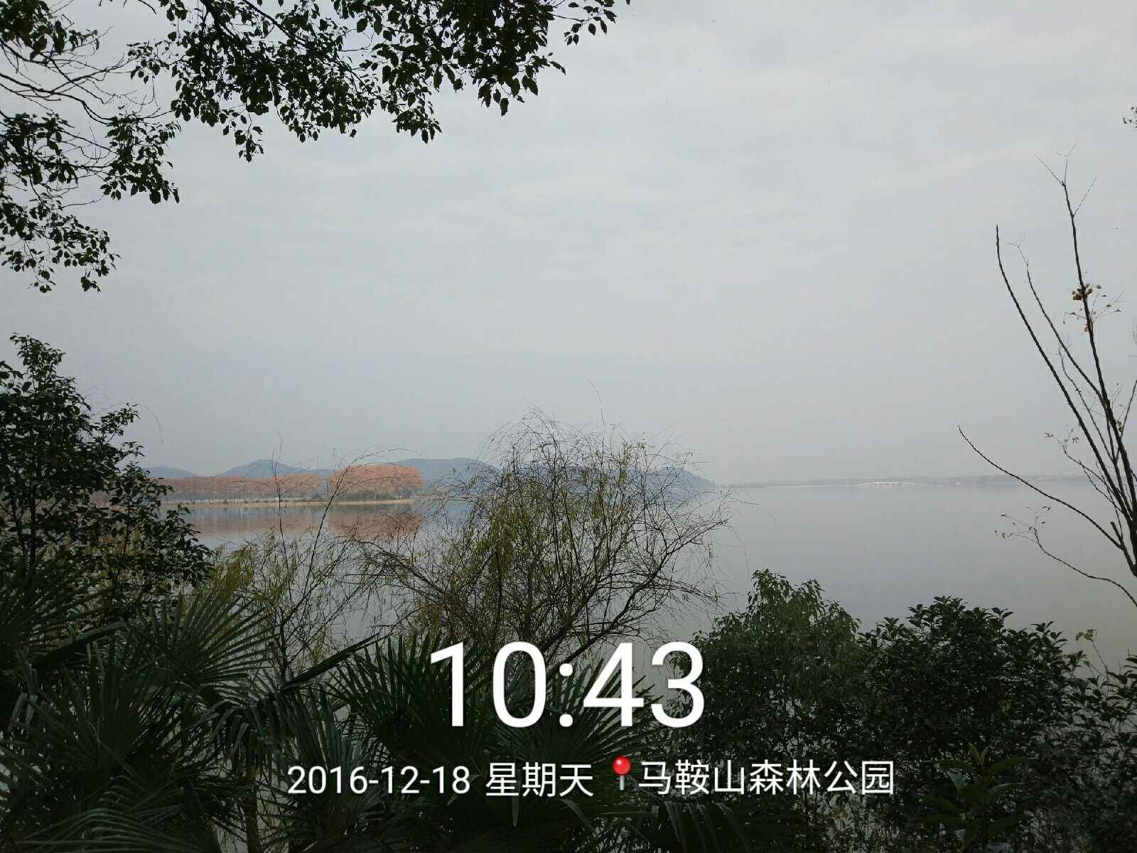qqͼƬ20161221142258.jpg