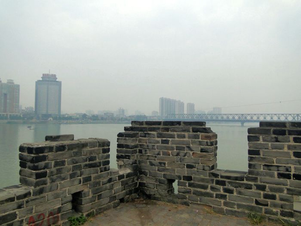 dsc02669a_.jpg