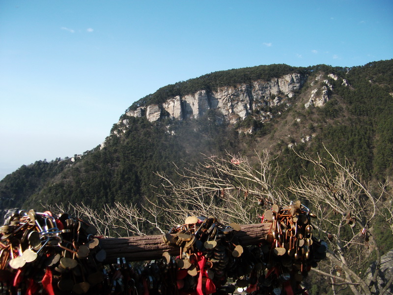 dscf0611.jpg