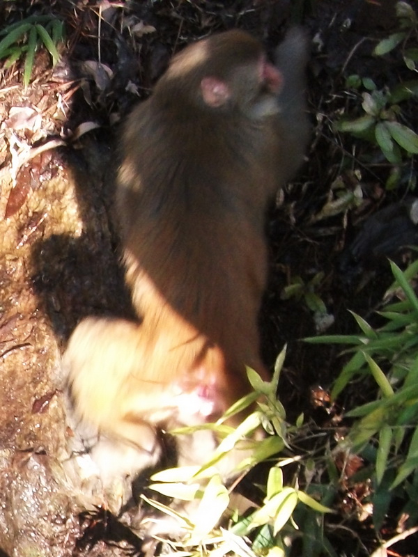 dscf0616.jpg