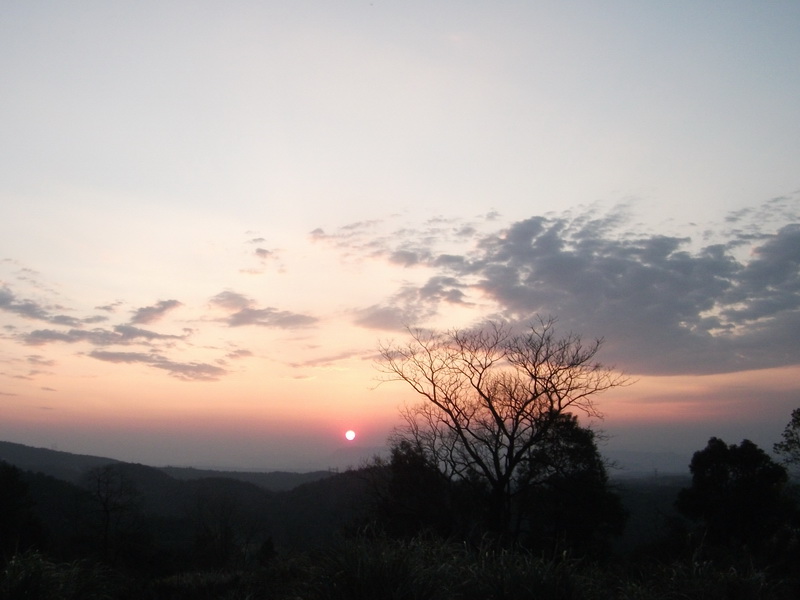 dscf0646.jpg