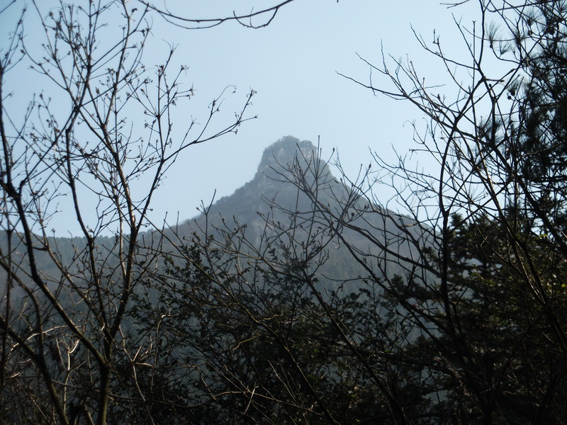 dscf0587.jpg