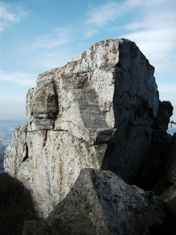 dscf0594.jpg