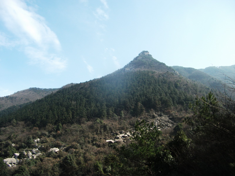 dscf0590.jpg