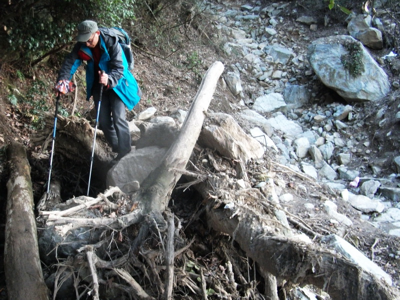 dscf0629.jpg