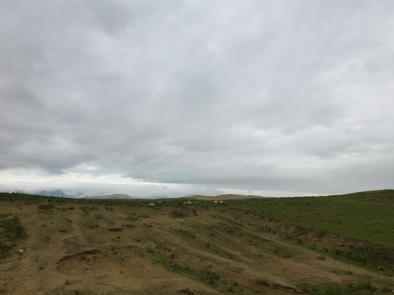 p1240774.jpg
