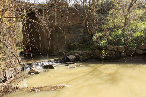_mg_8079.jpg