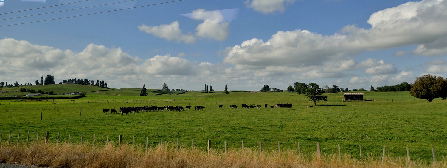 dsc_4957.jpg