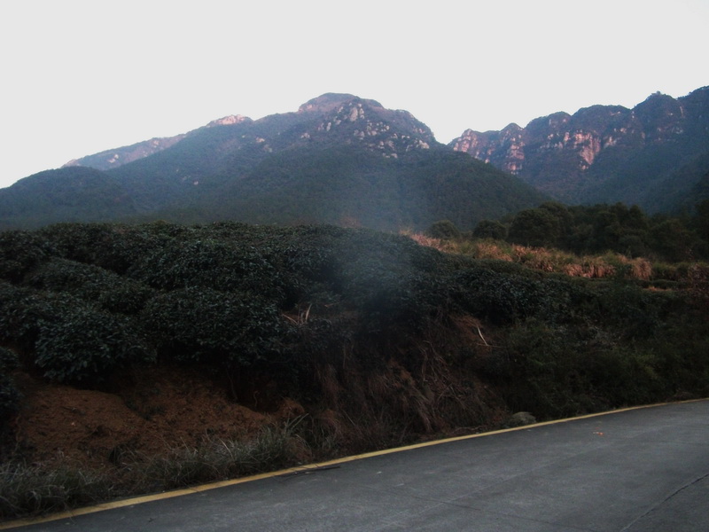 dscf0645.jpg