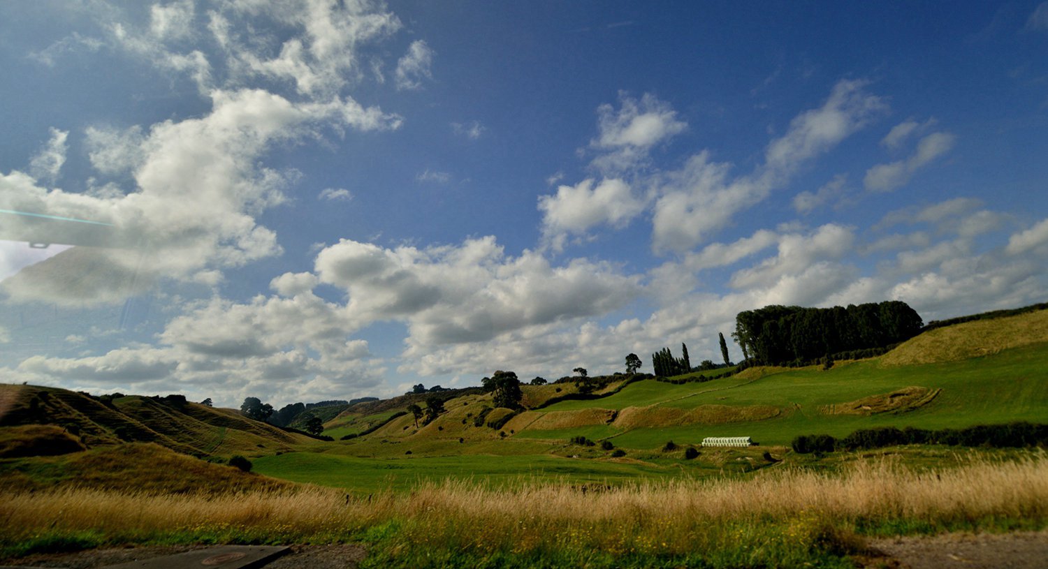 dsc_4961.jpg