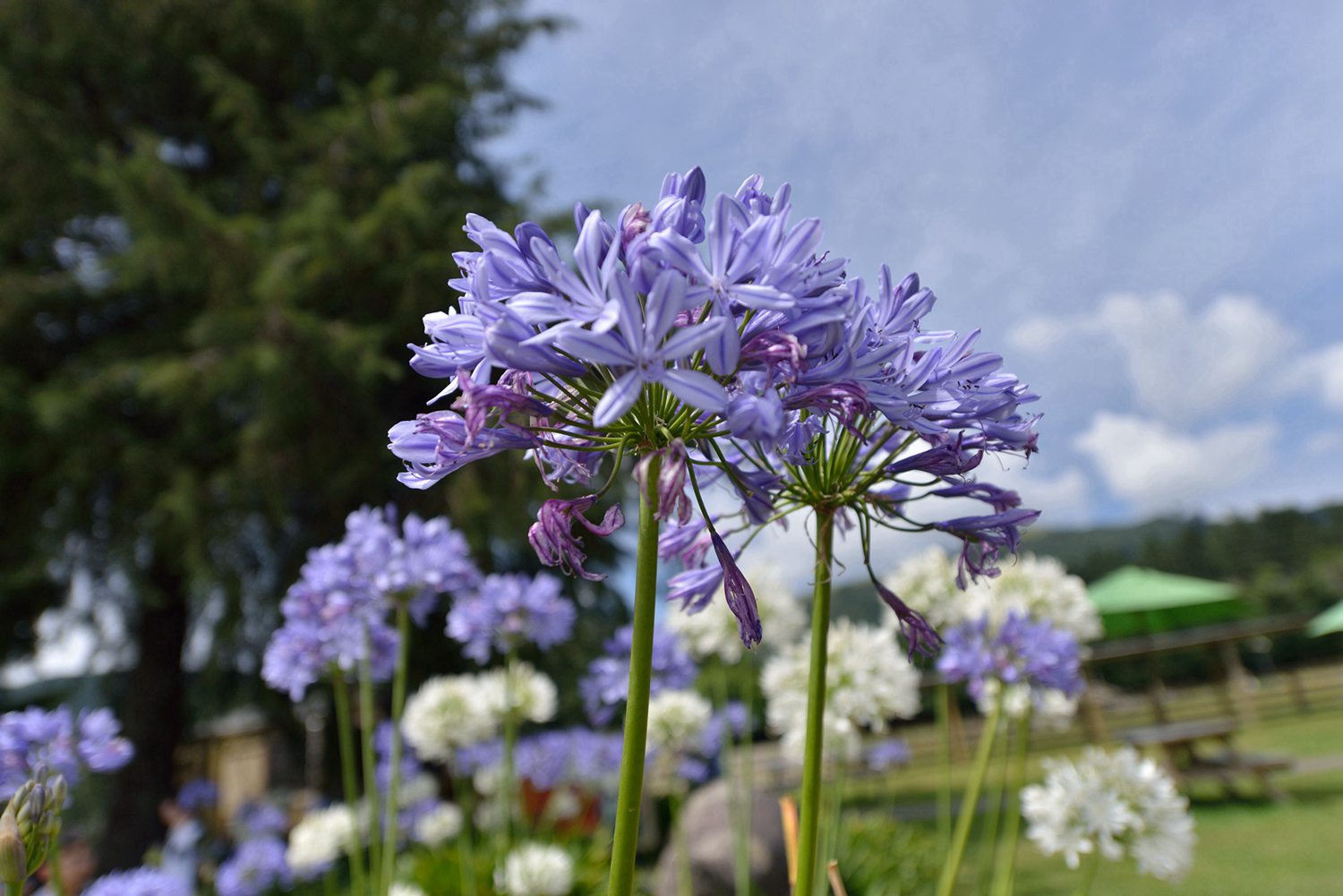 dsc_5192.jpg