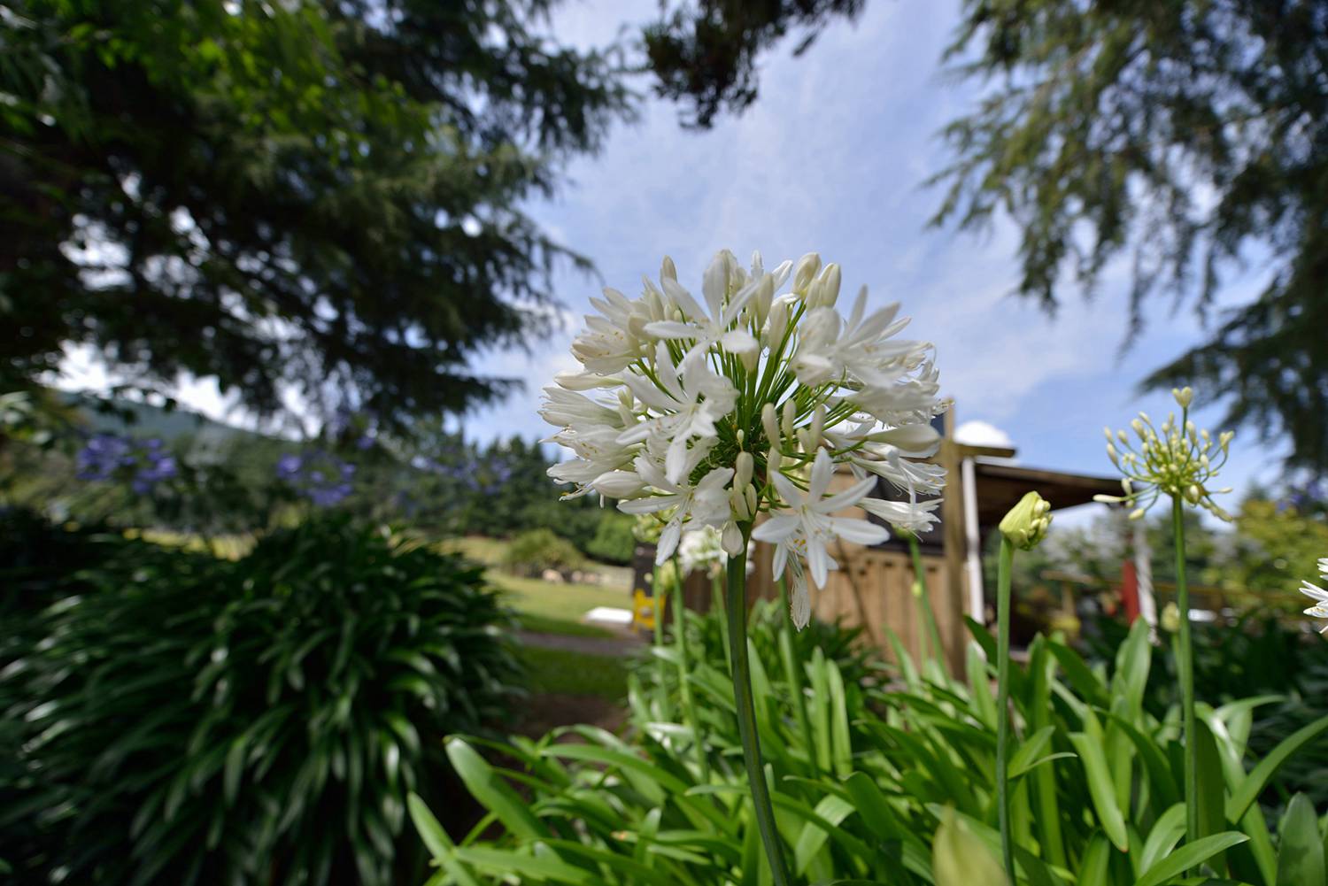 dsc_5195.jpg