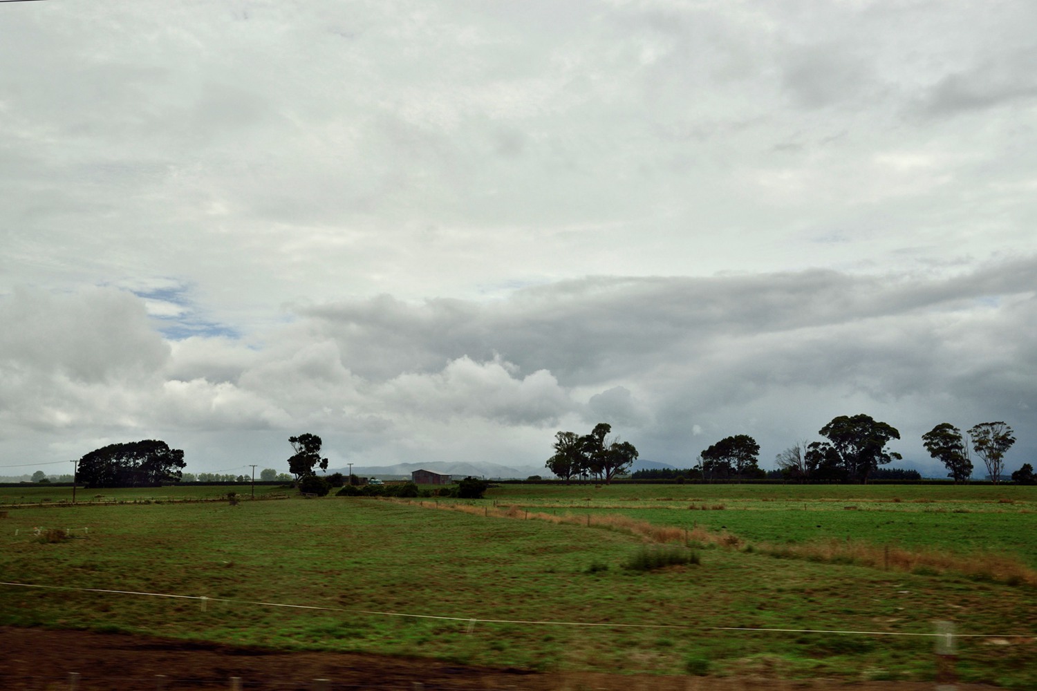 dsc_5521.jpg