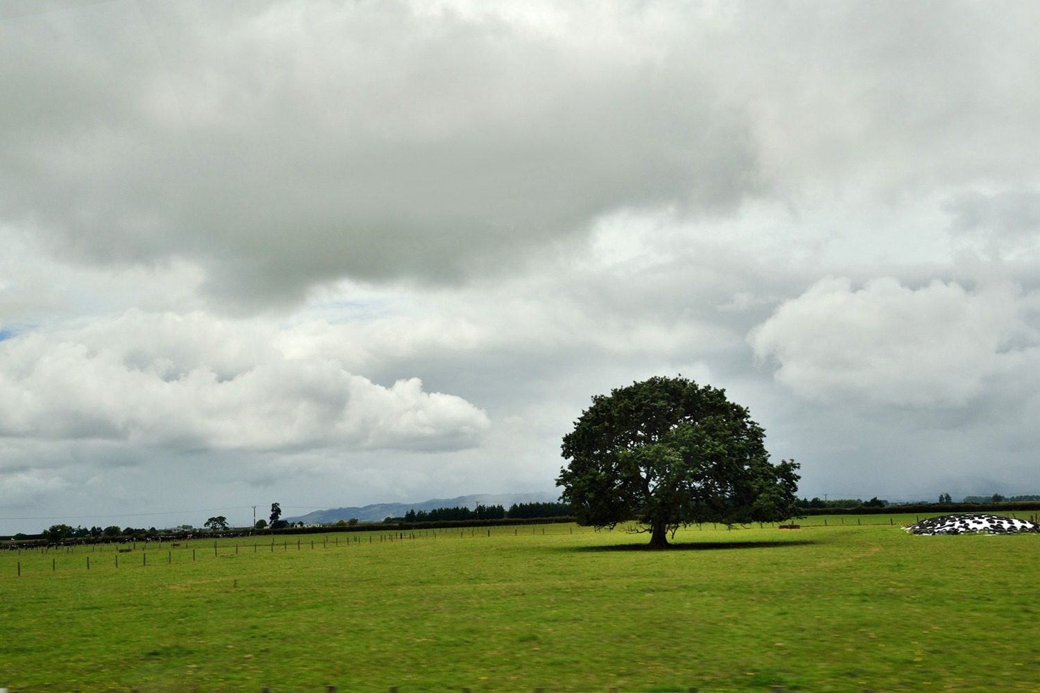 dsc_5527.jpg