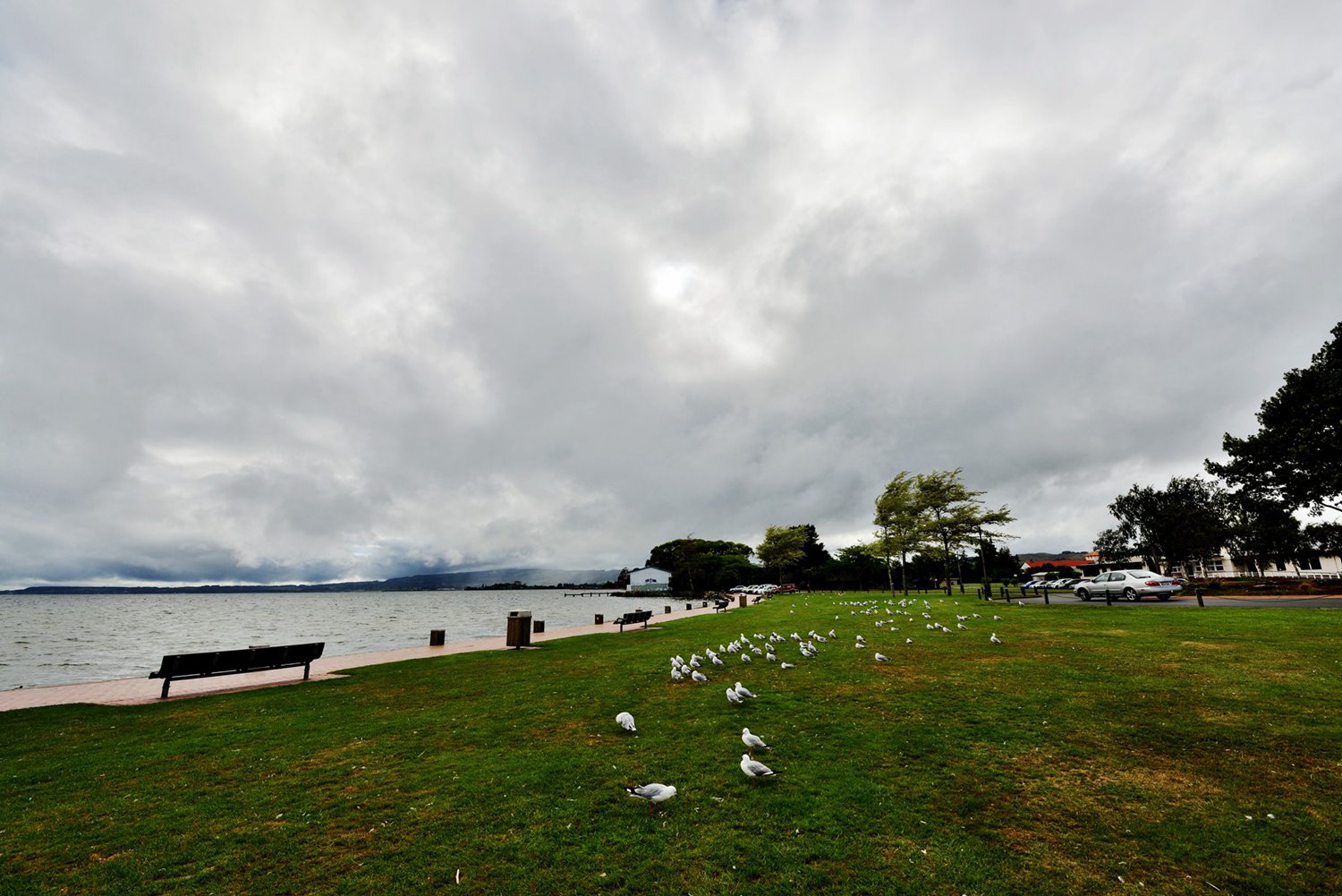 dsc_5442.jpg