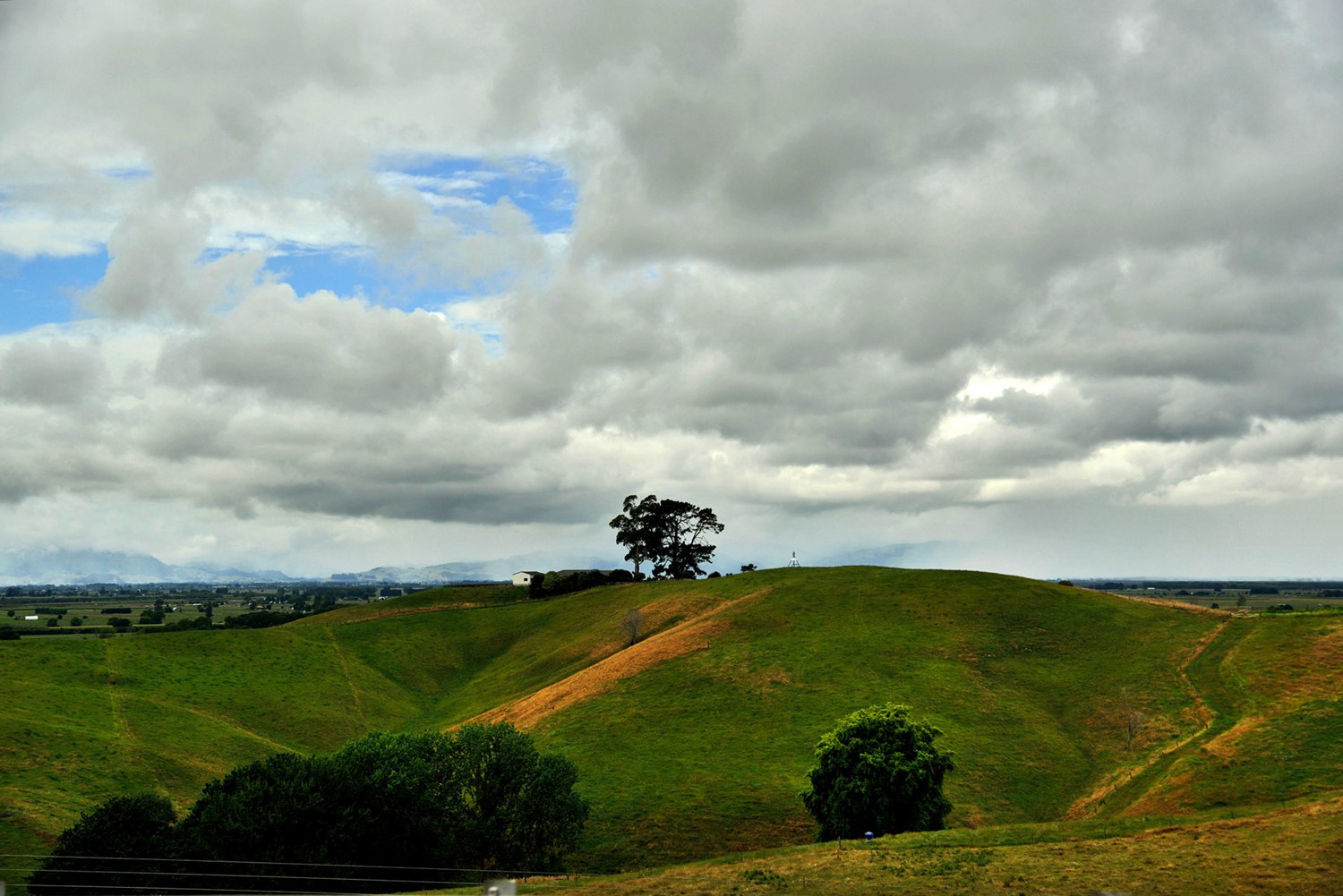 dsc_5566.jpg
