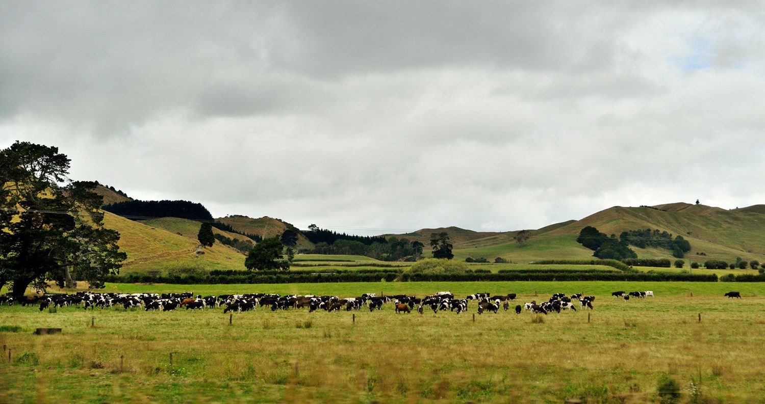 dsc_5589.jpg