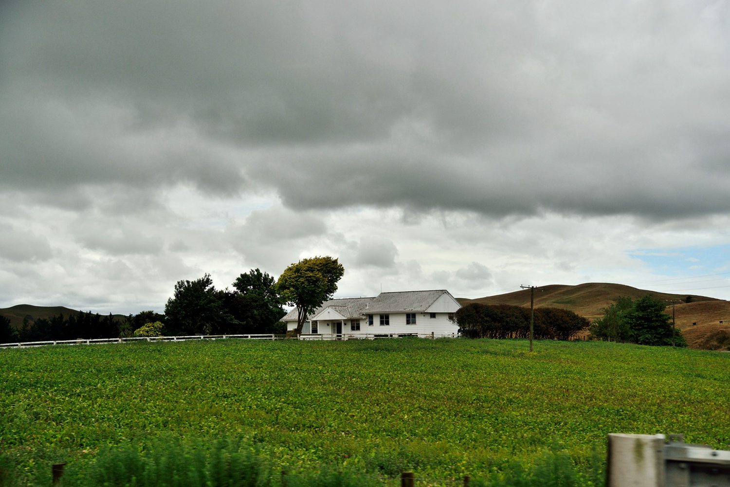 dsc_5599.jpg
