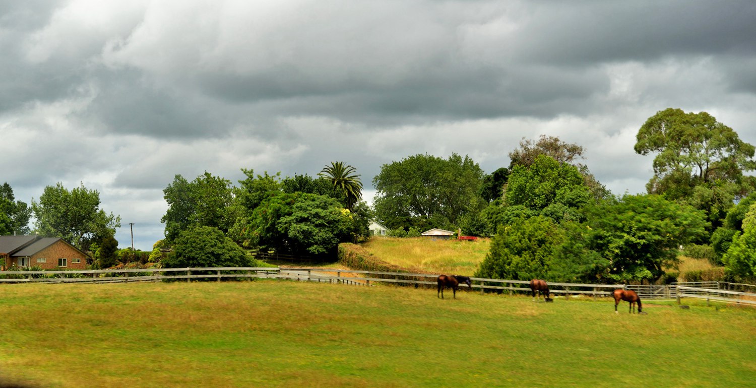 dsc_5623.jpg