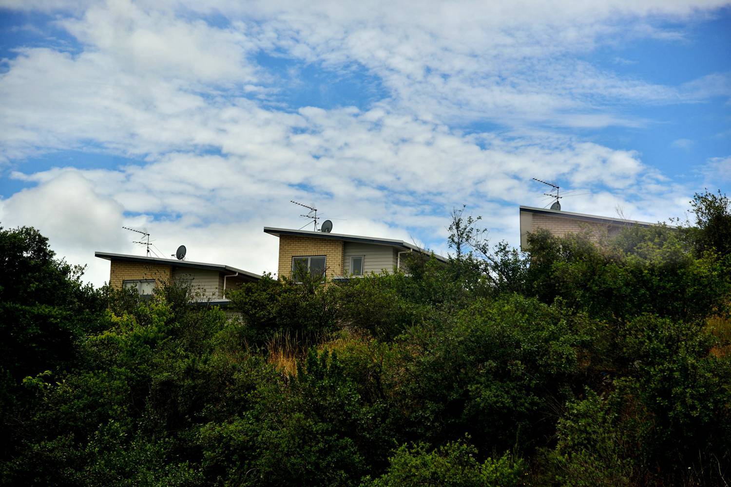 dsc_5639.jpg