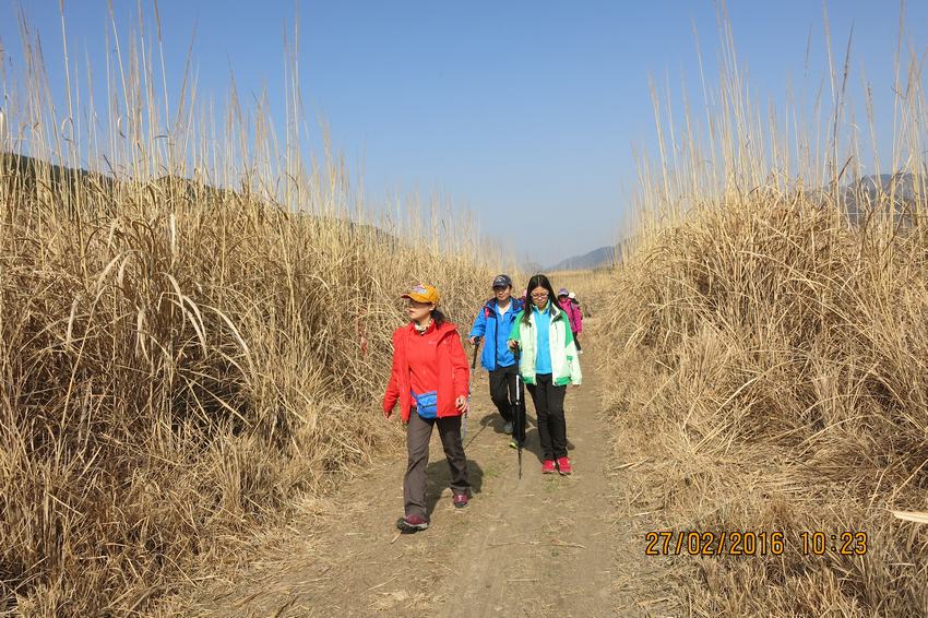 img_8680.jpg