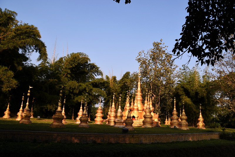 dsc_2619.jpg
