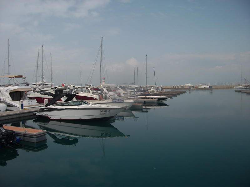 dscf0817.jpg