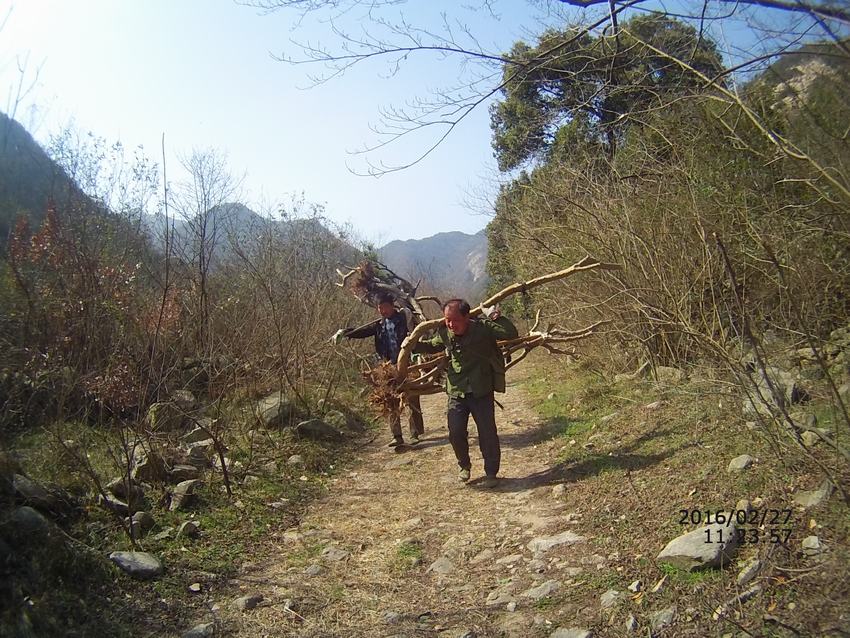 04.jpg