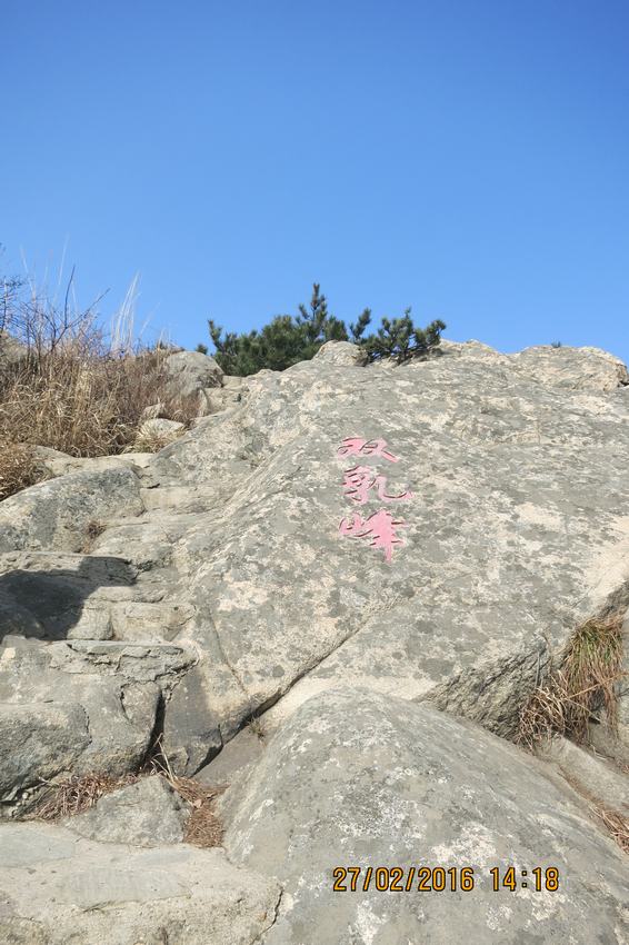 04.jpg