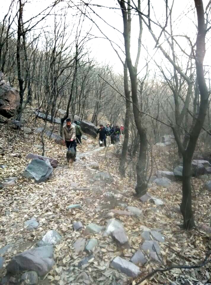 zzqqͼƬ20160314181222_ͼ.jpg