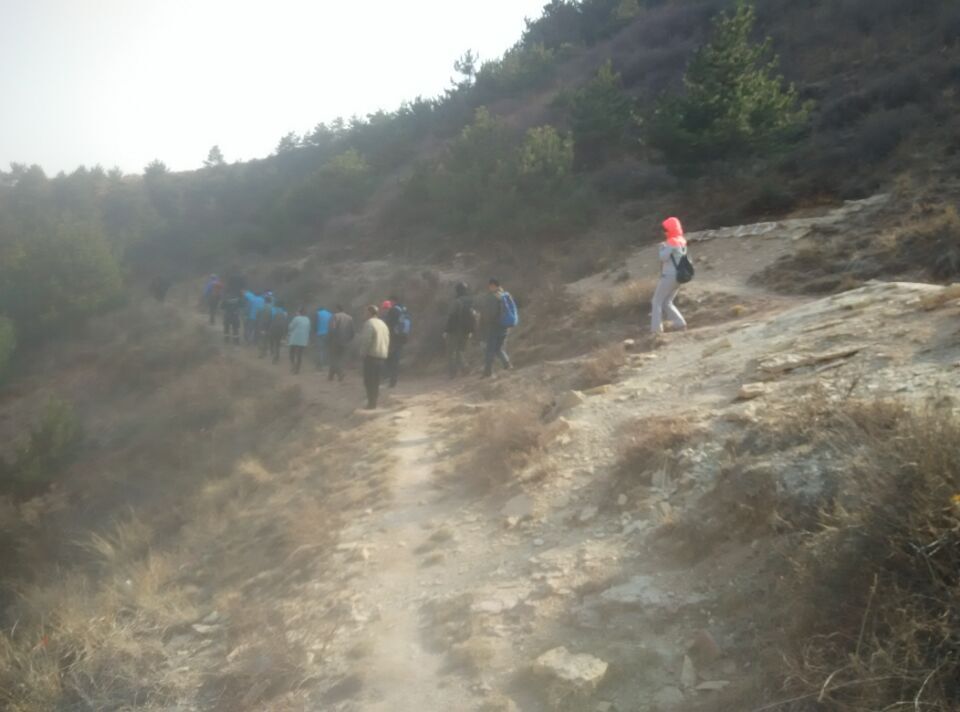 zzqqͼƬ20160314181243.jpg