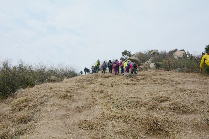 06.jpg